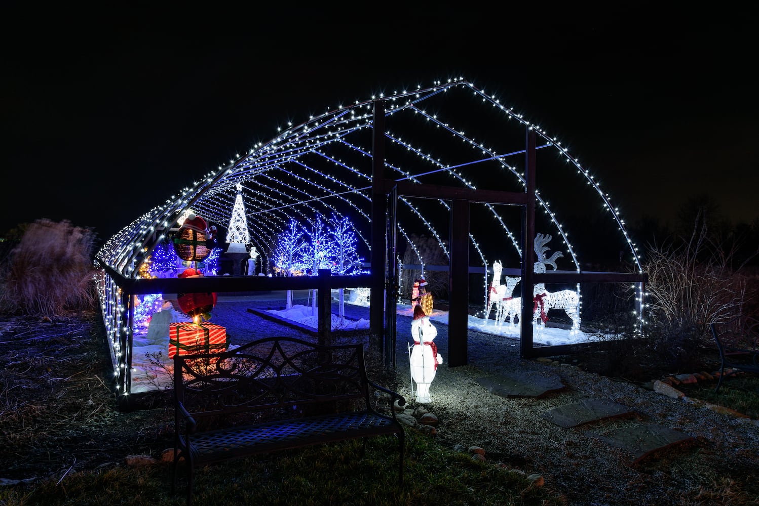 PHOTOS: Christmas Light Spectacular at Cedar Springs Pavilion
