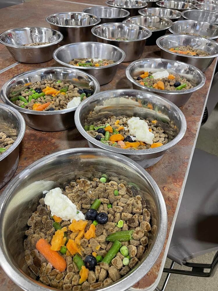 ARC meal
