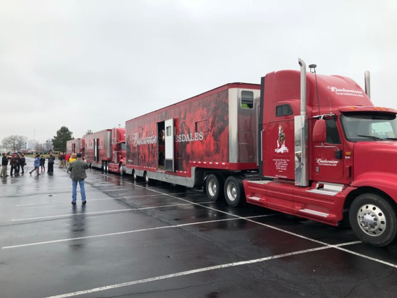 The Budweiser Clydesdales arrived in Dayton around 1 p.m. on Wednesday, March 28. STAFF PHOTO / MARK FISHER