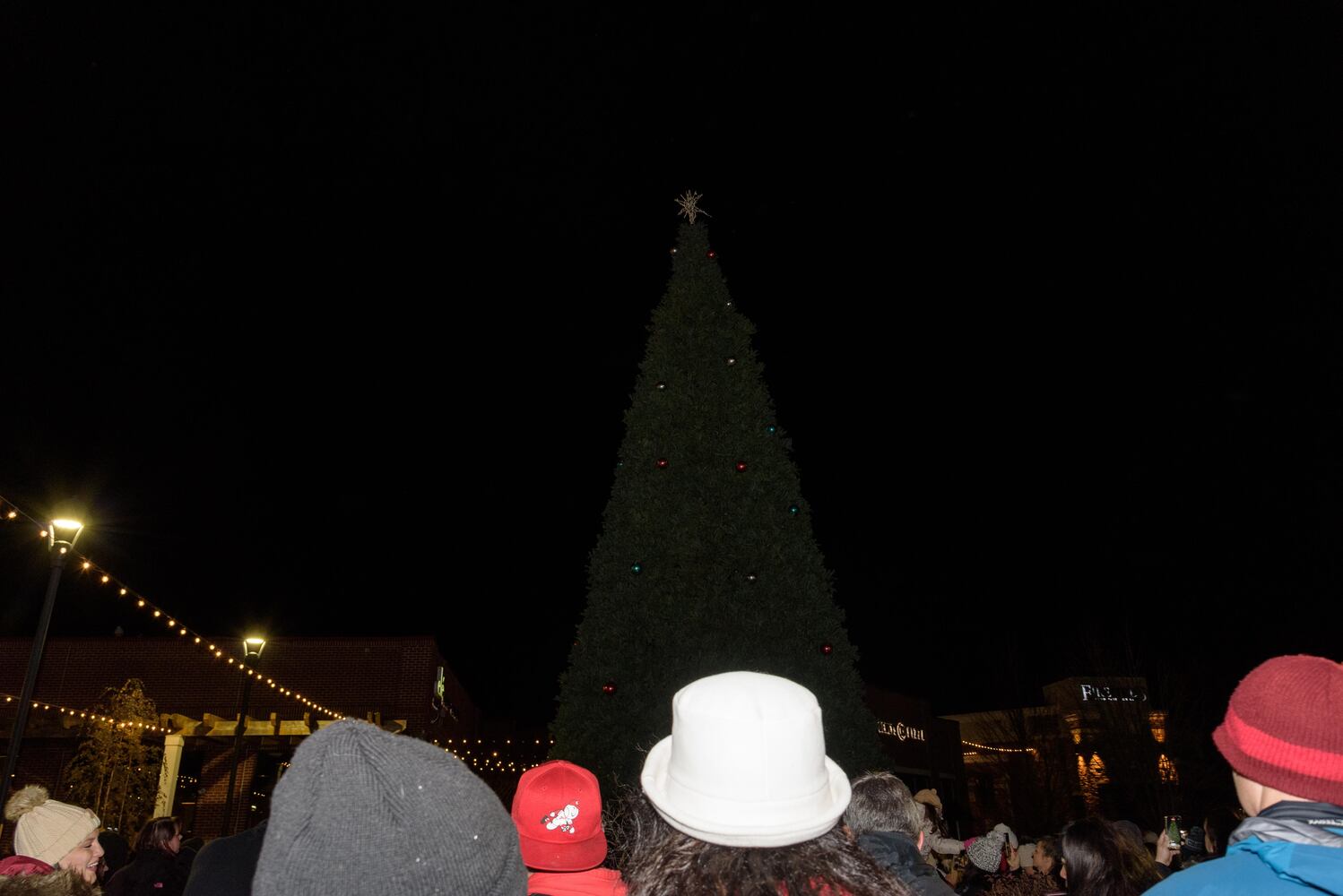 PHOTOS: Did we spot you at Austin Landing's Christmas Tree Lighting?