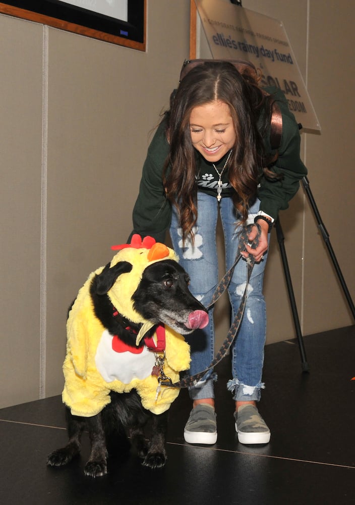 Did we spot you at Dogs on the Catwalk?
