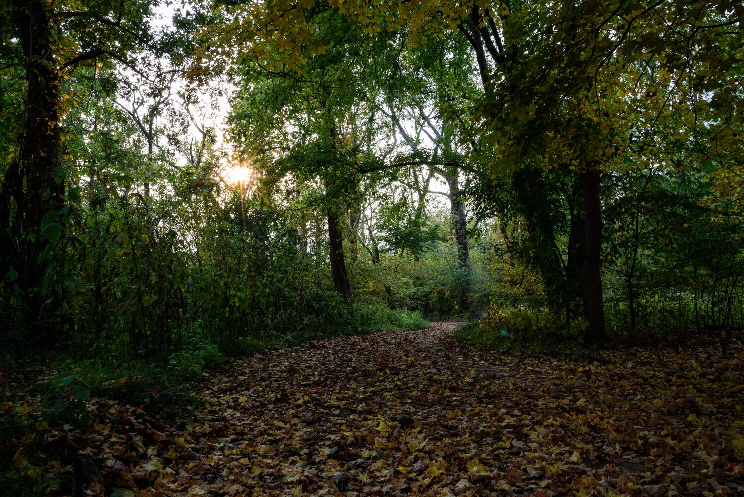 Huffman MetroPark in the fall