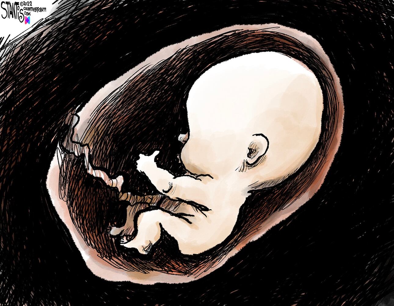 WEEK IN CARTOONS: Roe v. Wade overturned, inflation and more