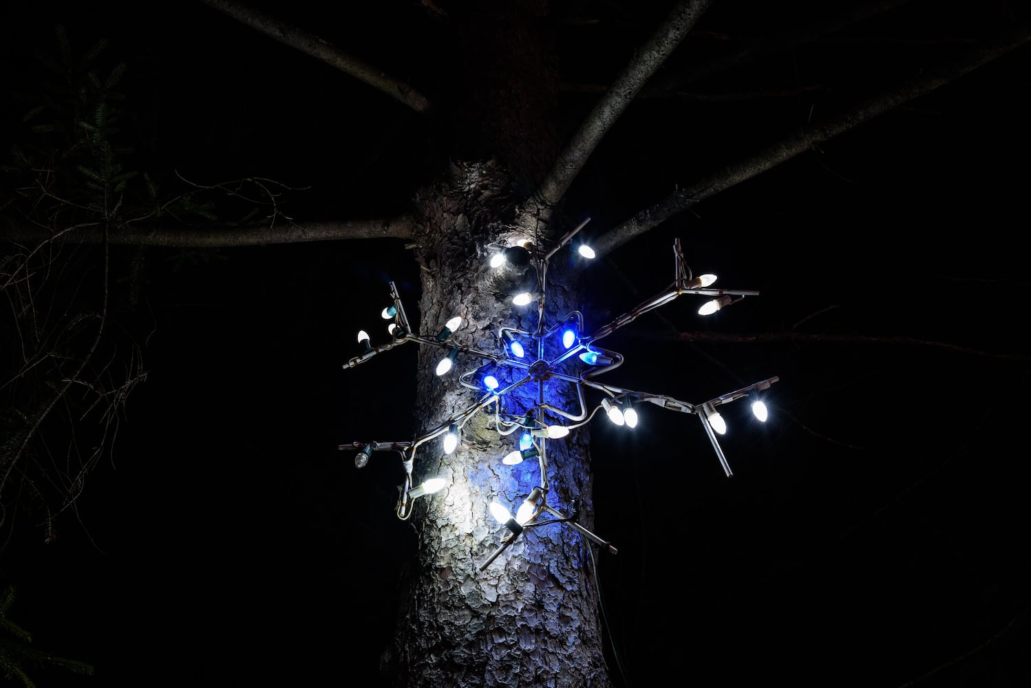 PHOTOS: A walk through Woodland Lights in Washington Township