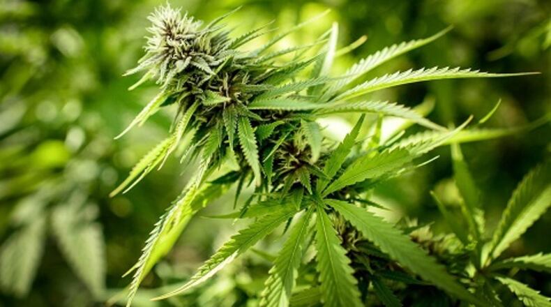 Ohio has licensed 56 locations that can sell medical marijuana once it becomes legal this fall.