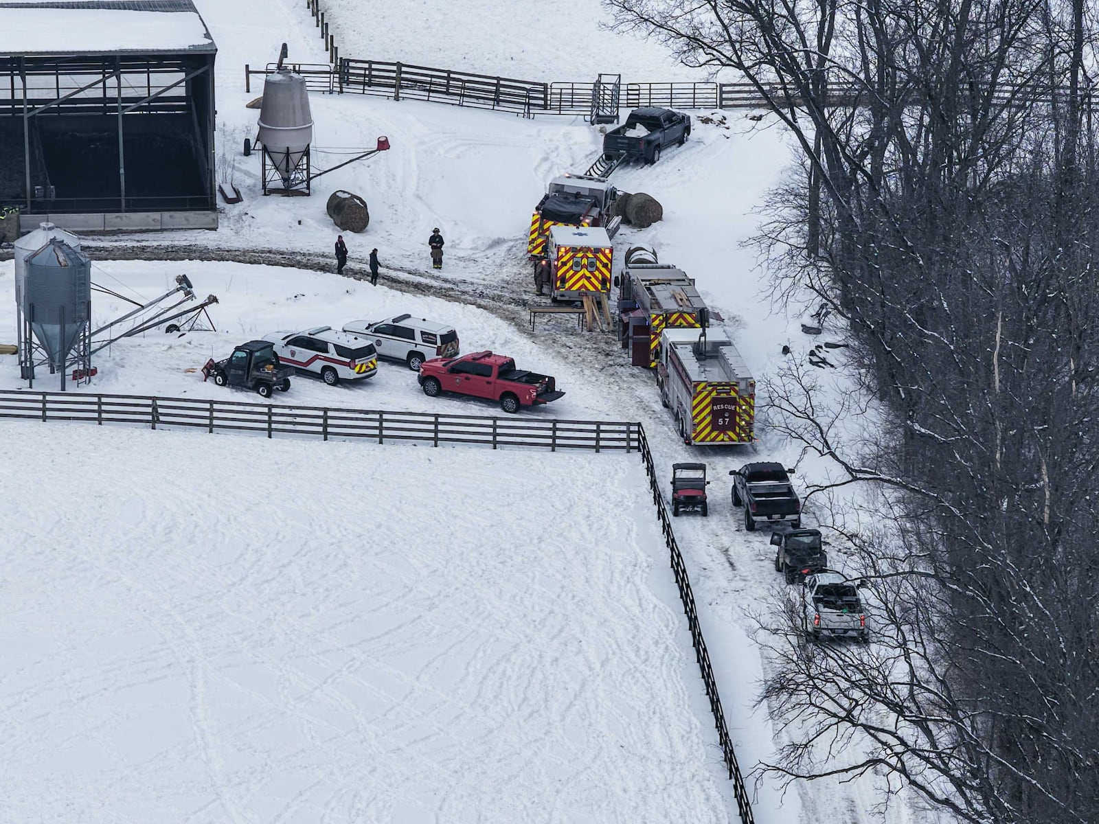 Between 30 to 40 cows were trapped after a barn collapse in Wayne Twp. on Feb. 3, 2026. NICK GRAHAM, STAFF