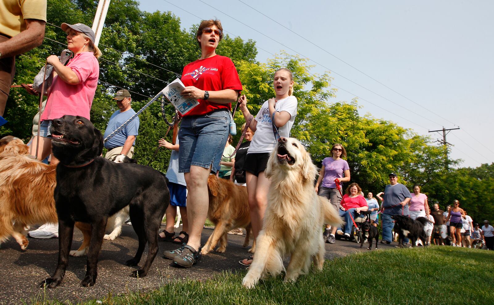 Dogs and owners take off for SICSA's 13th annual Walk for Strays Saturday, June 4, at Delco Park. More than 400 pet owners took part in the event which also included canine bobbing for hot dogs, paw painting, a costume contest, pet photography and a variety of vendors.