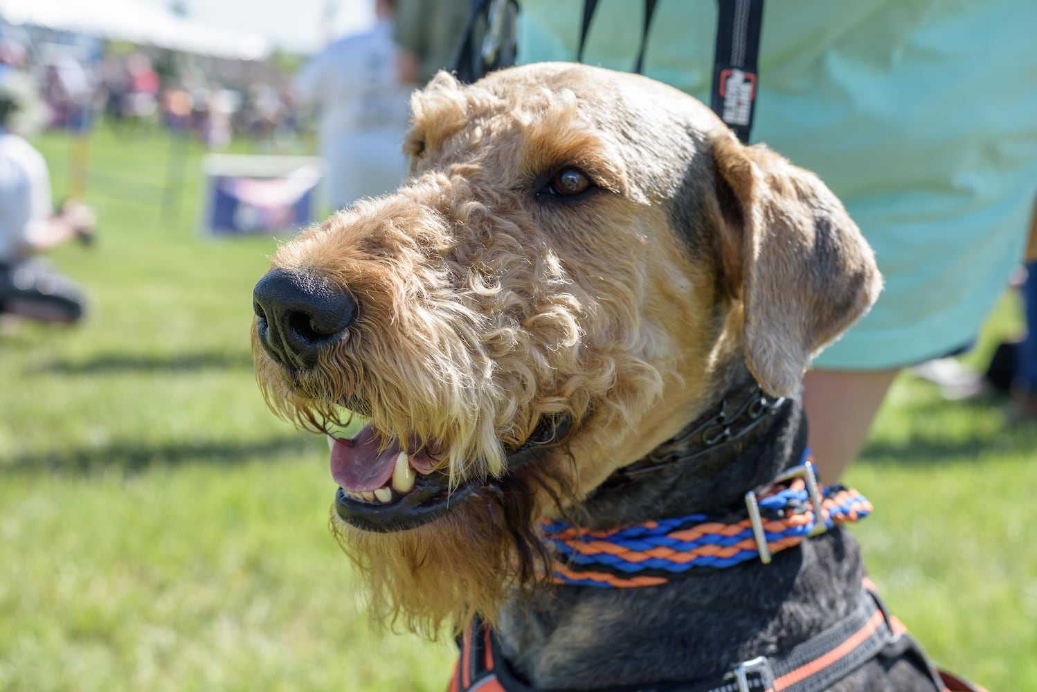 PHOTOS: 2025 Furry Skurry 5K at St. Leonard CHI Living Communities