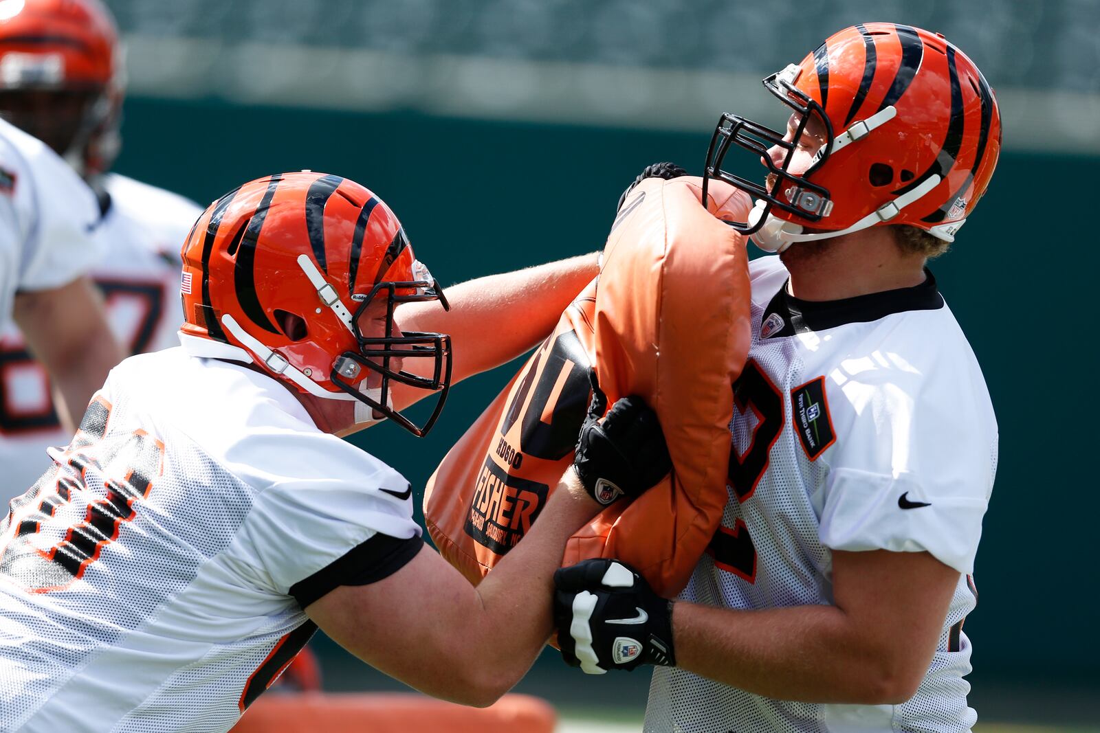 CINCINNATI, OH - MAY 12: Offensive linemen Tanner Hawkinson #72 and T.J. Johnson #60 of the Cincinnati Bengals work out during a rookie camp at Paul Brown Stadium on May 12, 2013 in Cincinnati, Ohio. (Photo by Joe Robbins/Getty Images)