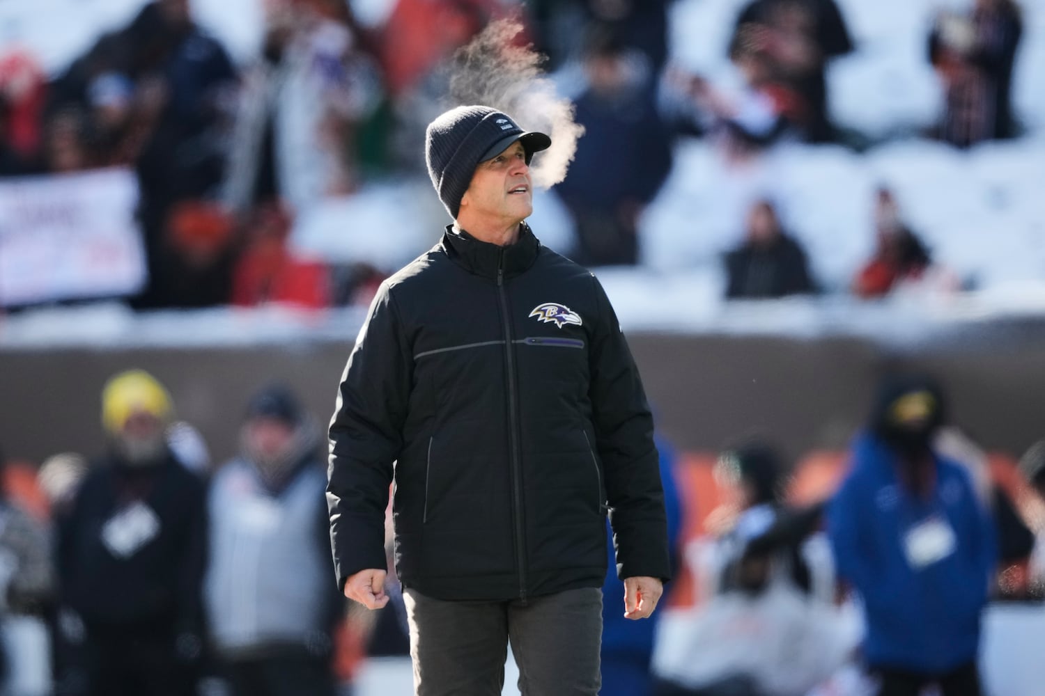 Ravens Bengals Football