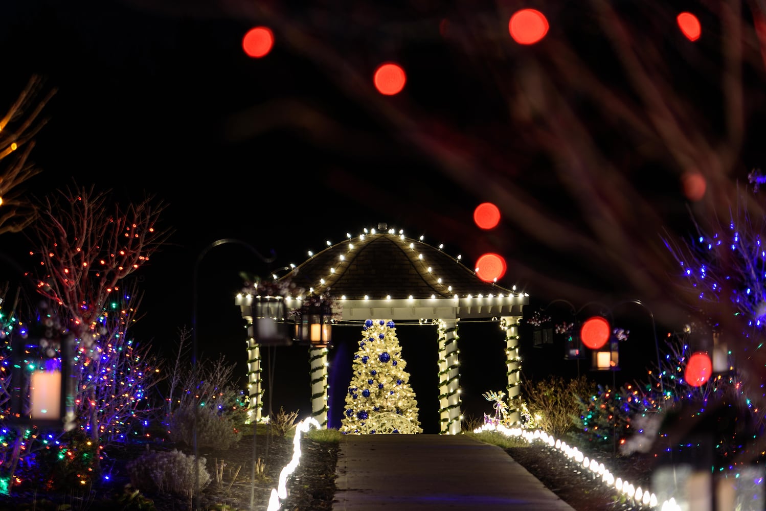 PHOTOS: Christmas Light Spectacular at Cedar Springs Pavilion