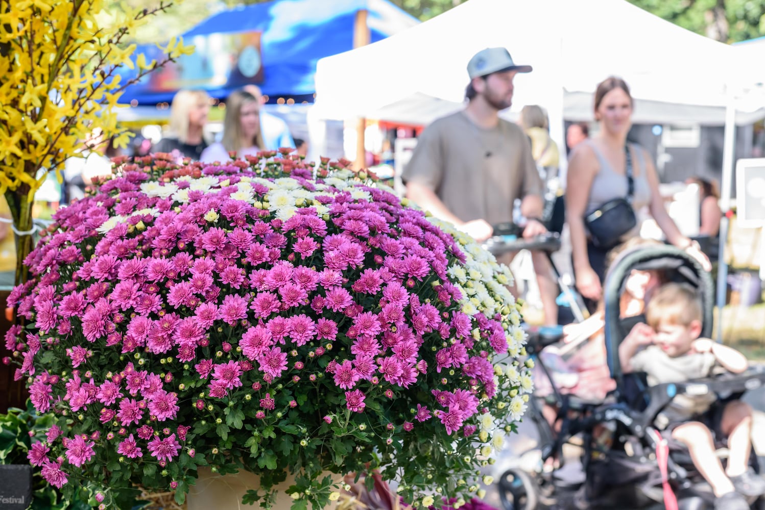 PHOTOS: 2025 Tipp City Mum Festival & Parade