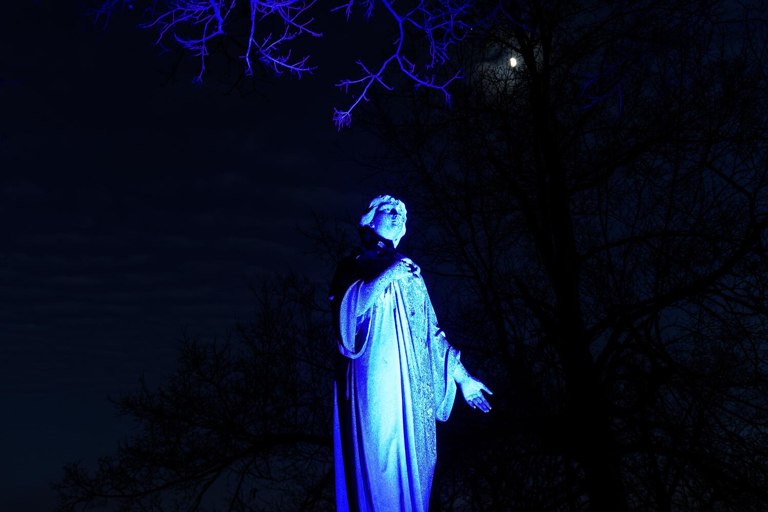 PHOTOS: Angel Night at Calvary Cemetery