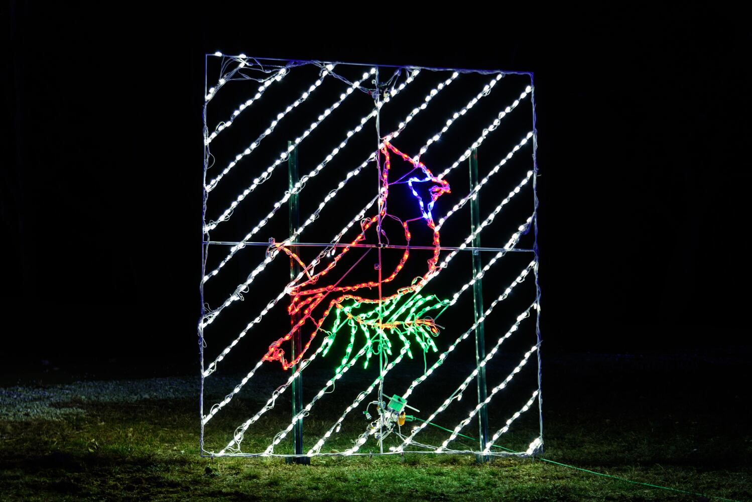 PHOTOS: ParkLights at Caesar Ford Park