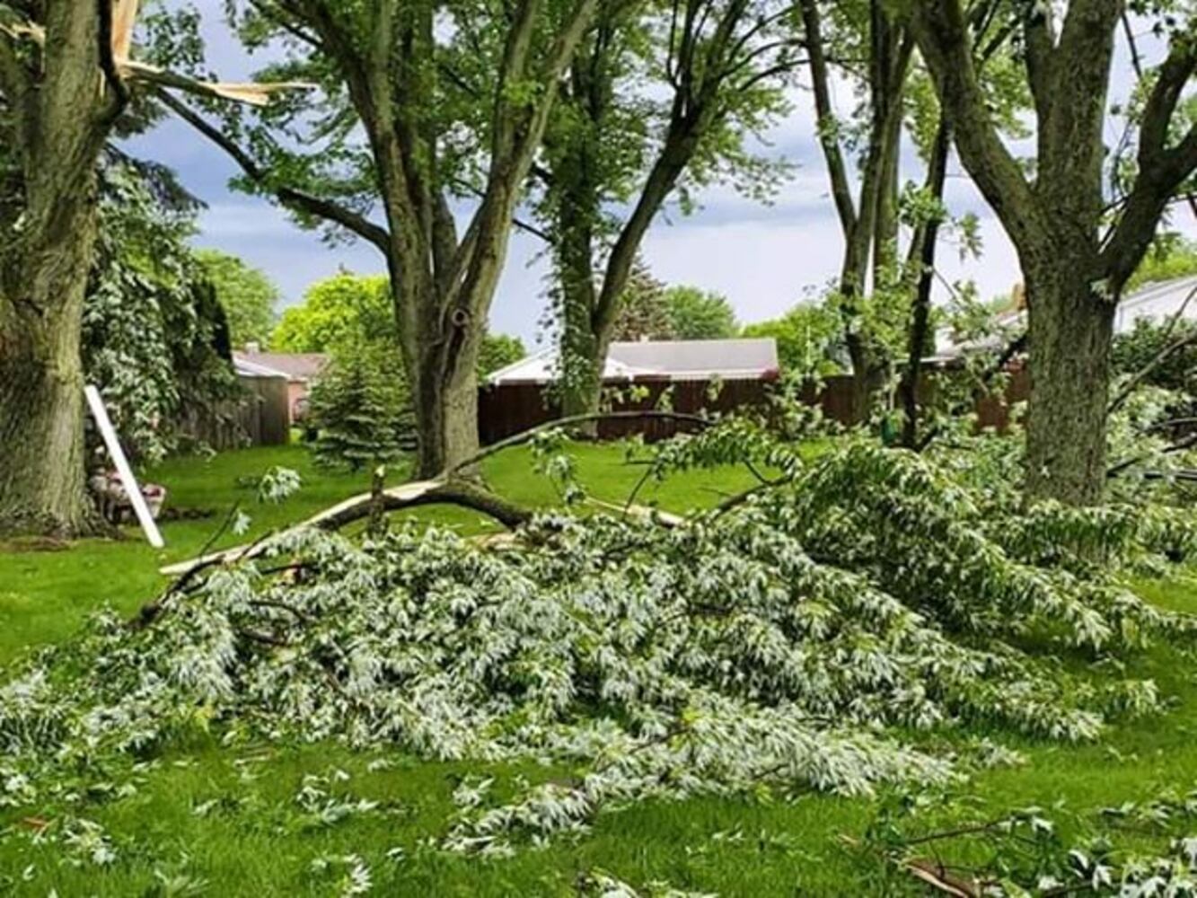 Piqua storm damage