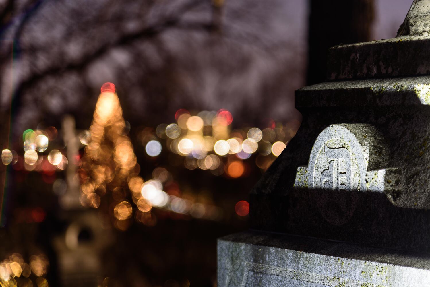 PHOTOS: Angel Night at Calvary Cemetery
