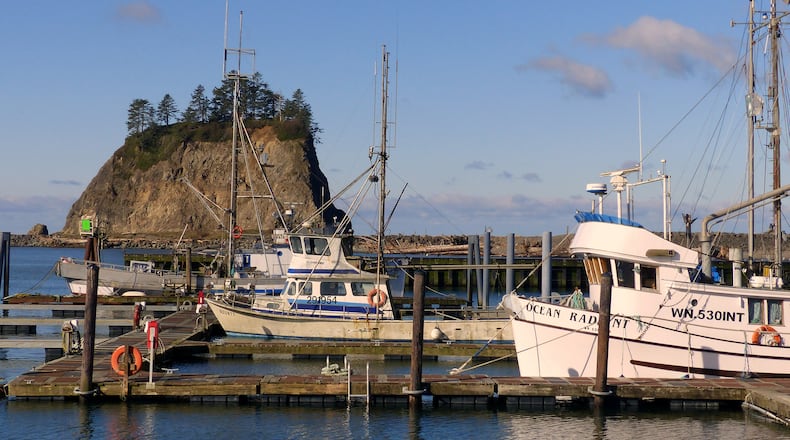 A marina provides sanctuary for ocean-going fishing boats at the mouth of the Quillayute River, in La Push. (BRIAN J. CANTWELL/SEATTLE TIMES/TNS)