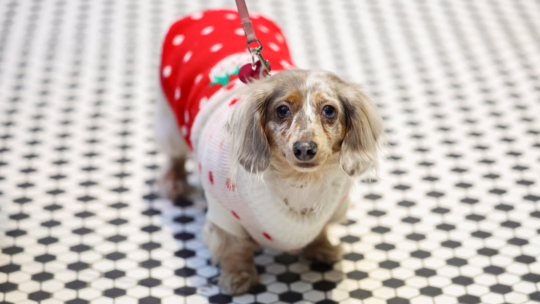 DDN 121125 Holly Days Dayton Arcade