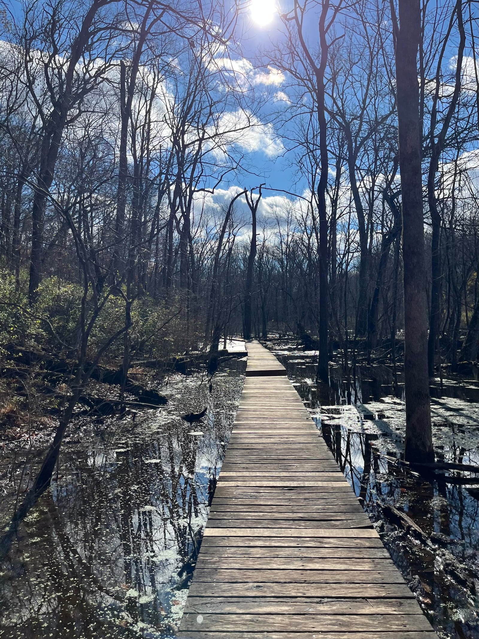 A walk along the boardwalk at Glen Helen is a scenic way to spend a winter day. CONTRIBUTED