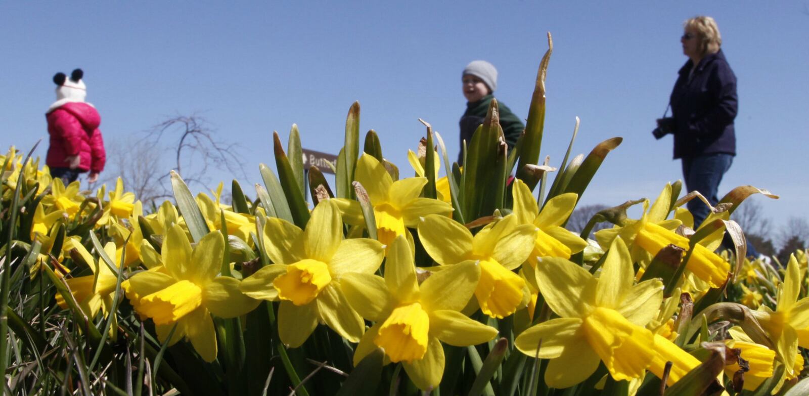 Melissa Liput of Dayton (right) takes a walk through Cox Arboretum MetroPark in Miami Twp. with Quinn Eversole and Andrew Wunderlich, both 4-years-old and from Dayton, to enjoy the sunshine and blooming spring flowers. LISA POWELL / STAFF