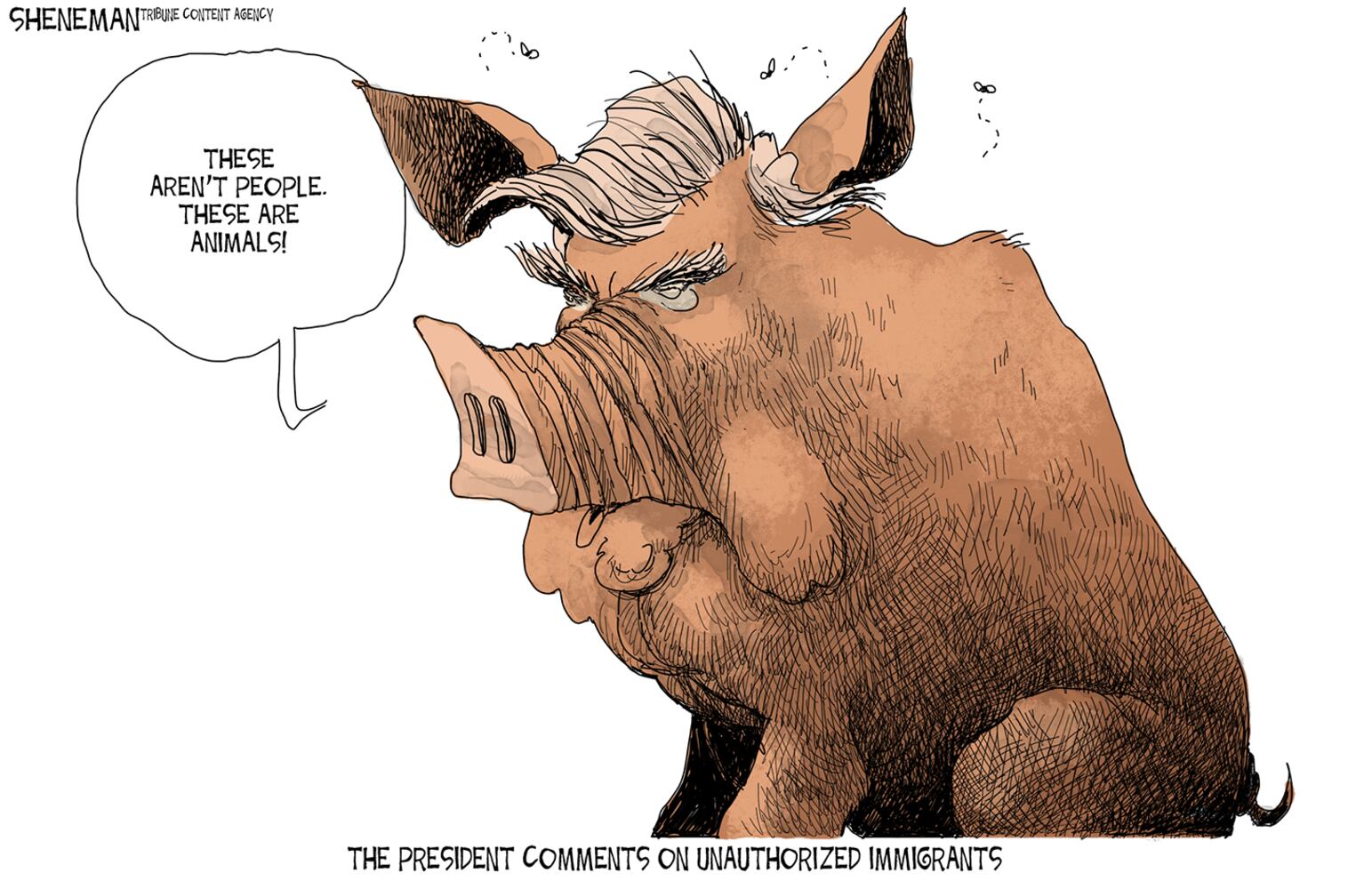 Week in cartoons: Sports betting, swamp draining and more