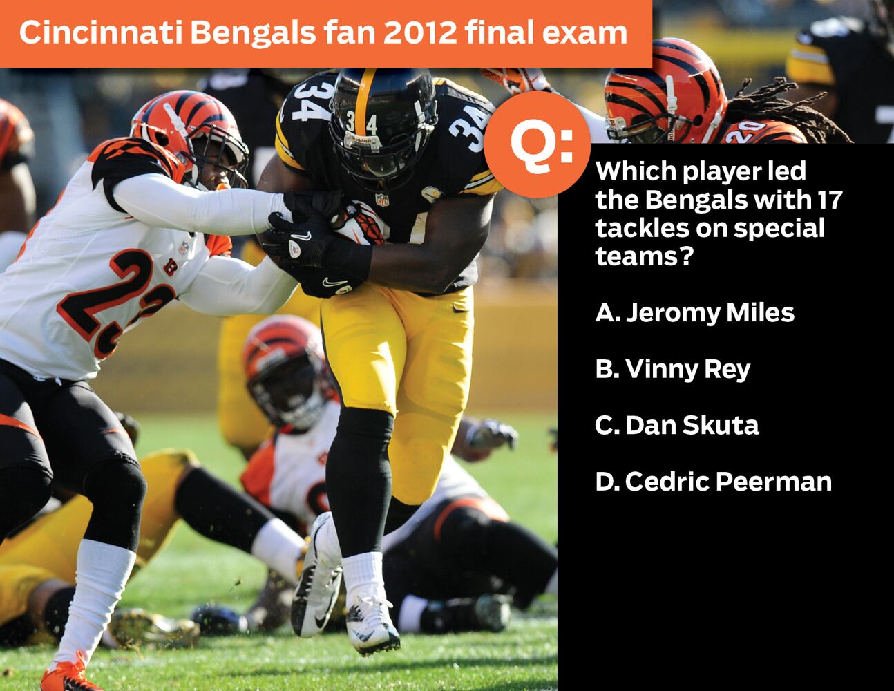 Cincinnati Bengals fan 2012 final exam:
