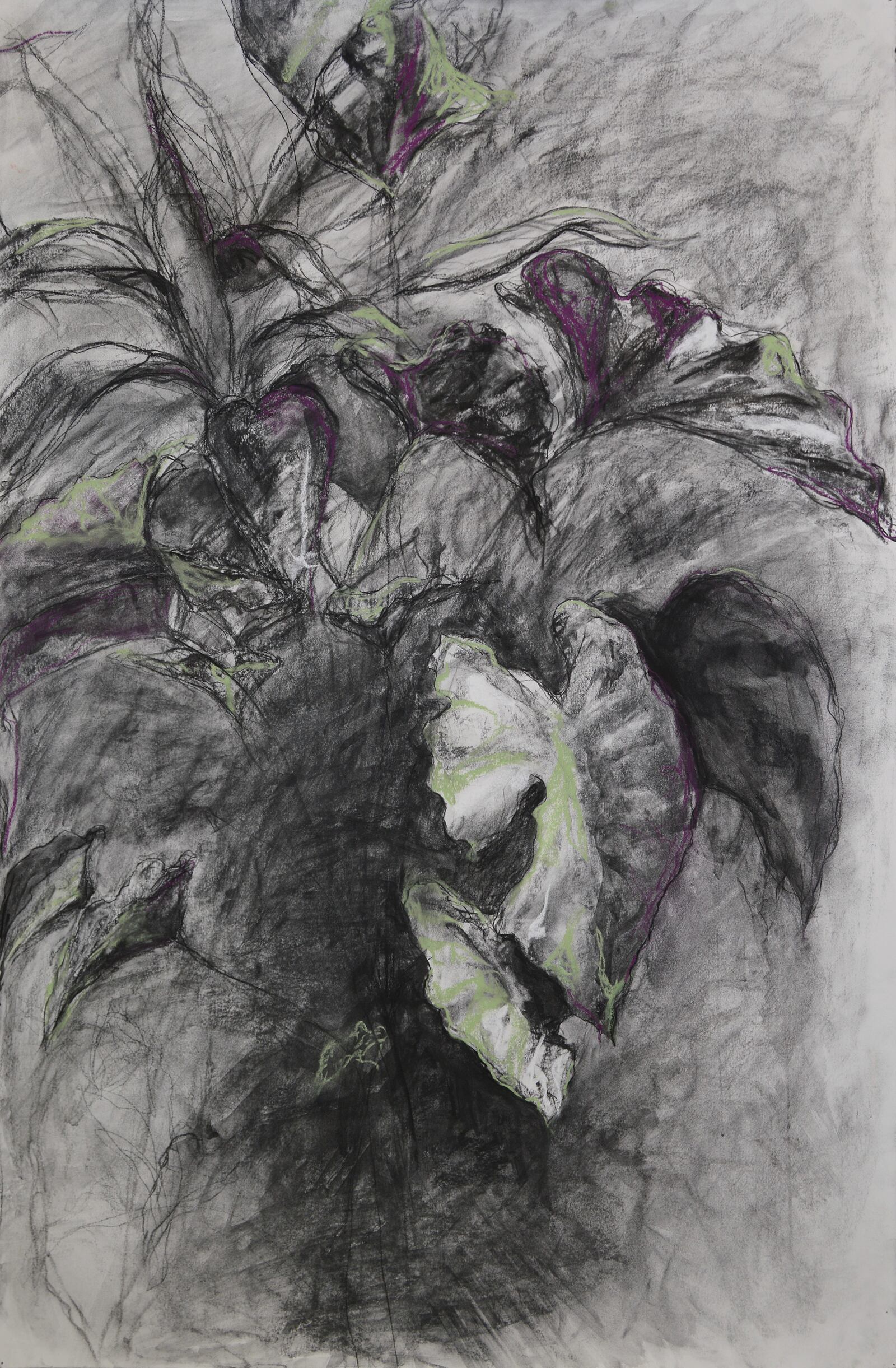 “The Cline Show: Annual Arts & Design Invitational,” featuring the work of Katie Paull and 39 other college and university art and design students, is on display at Dayton Visual Arts Center in Dayton on Friday, Jan. 12 through February 10. CONTRIBUTED