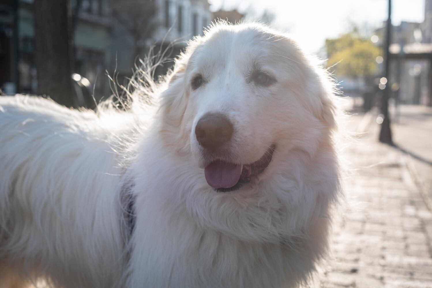 PHOTOS: Did we spot you at Out on 5th in The Oregon District?