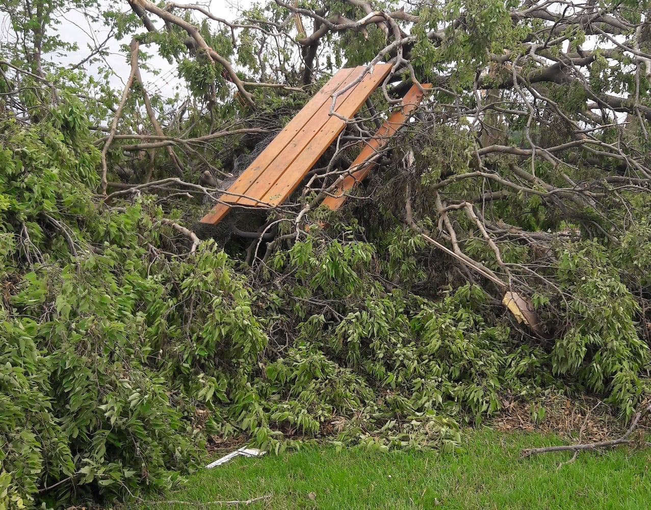 Photos: ‘extraordinary’ damage to parts of  Wegerzyn MetroPark, some parts mostly untouched