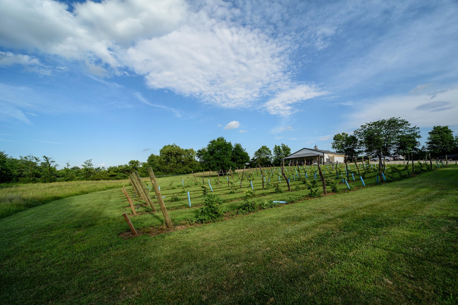 PHOTOS: Our first look inside the newly opened Twenty One Barrels Cidery & Winery