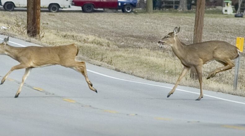 STAFF FILE PHOTO / Ty Greenlees