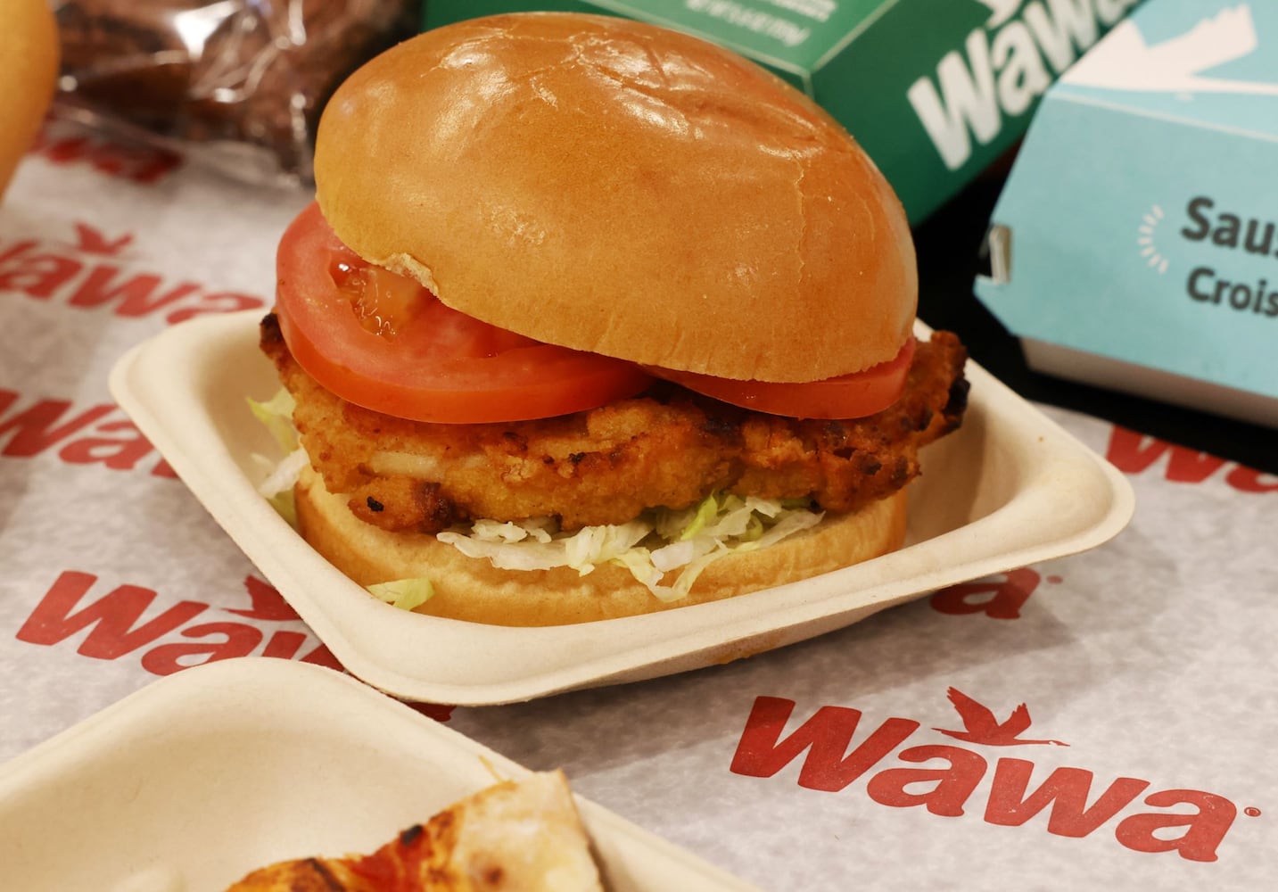 041525 Wawa Liberty