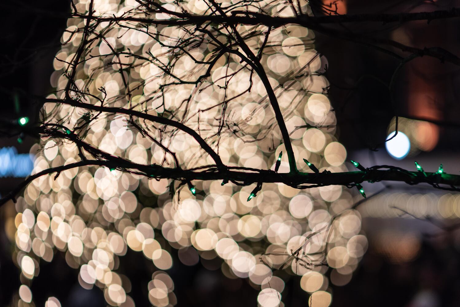 PHOTOS: Did we spot you at the Christmas Tree Lighting & Santa Arrival Parade at The Greene?