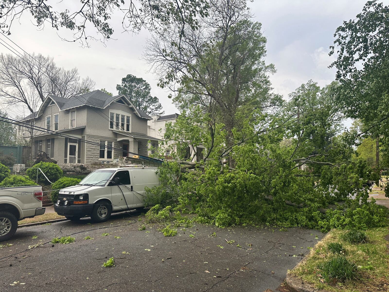 A tree fell and knocked down power lines and blocked a street in a residential neighborhood during storms on Wednesday, April 2, 2025, in Memphis, Tenn. (AP Photo/Adrian Sainz)