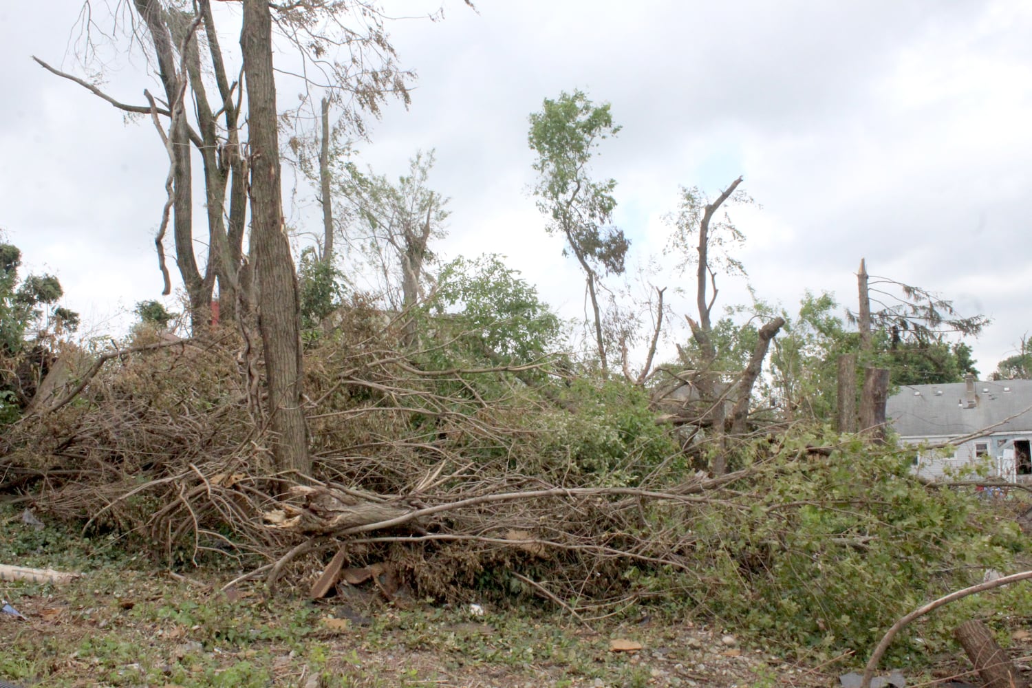 Photos restaurant worker called unsung hero for helping others during Memorial Day tornadoes