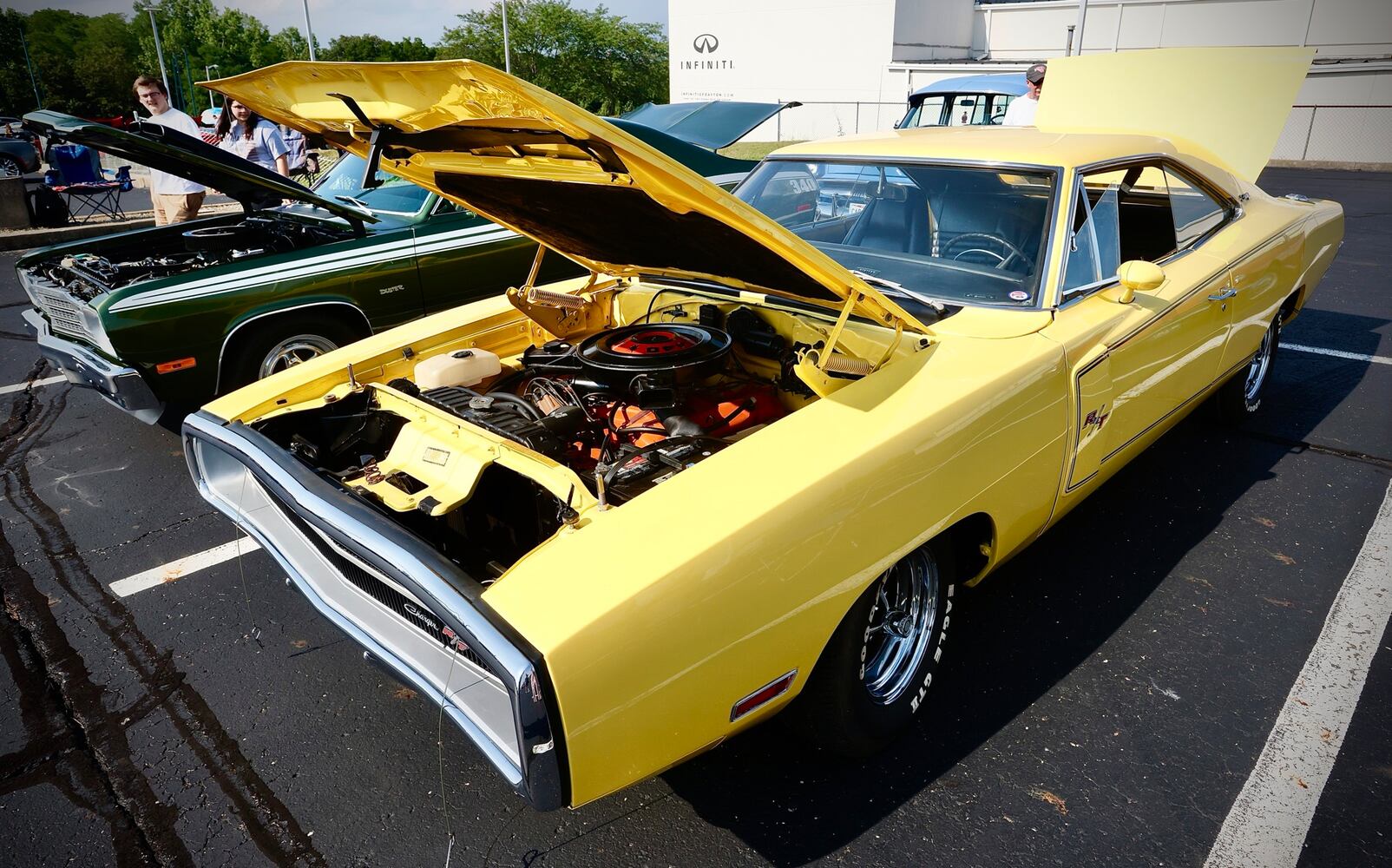 Cruise in