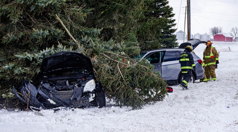 Contributed Photo/The Early Bird