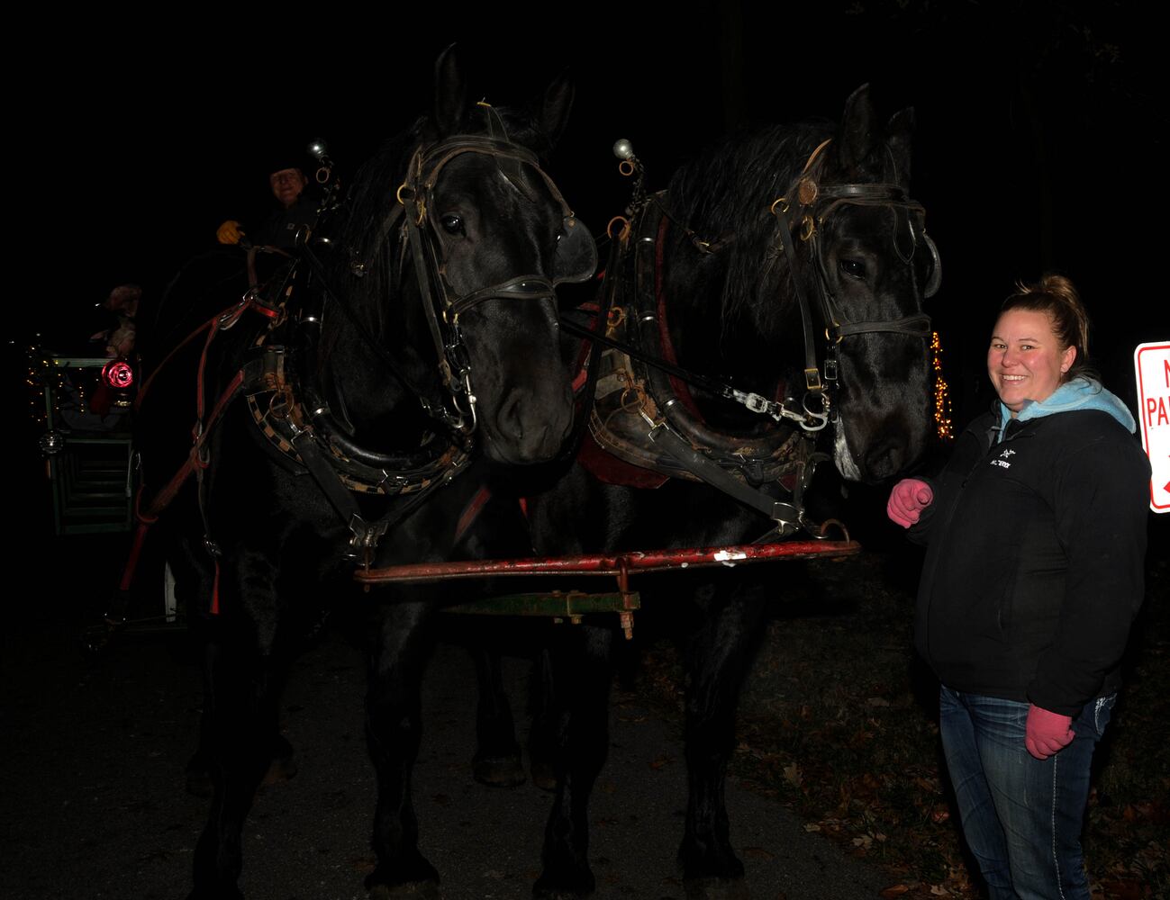 PHOTOS: Did we spot you at opening night of Woodland Lights?