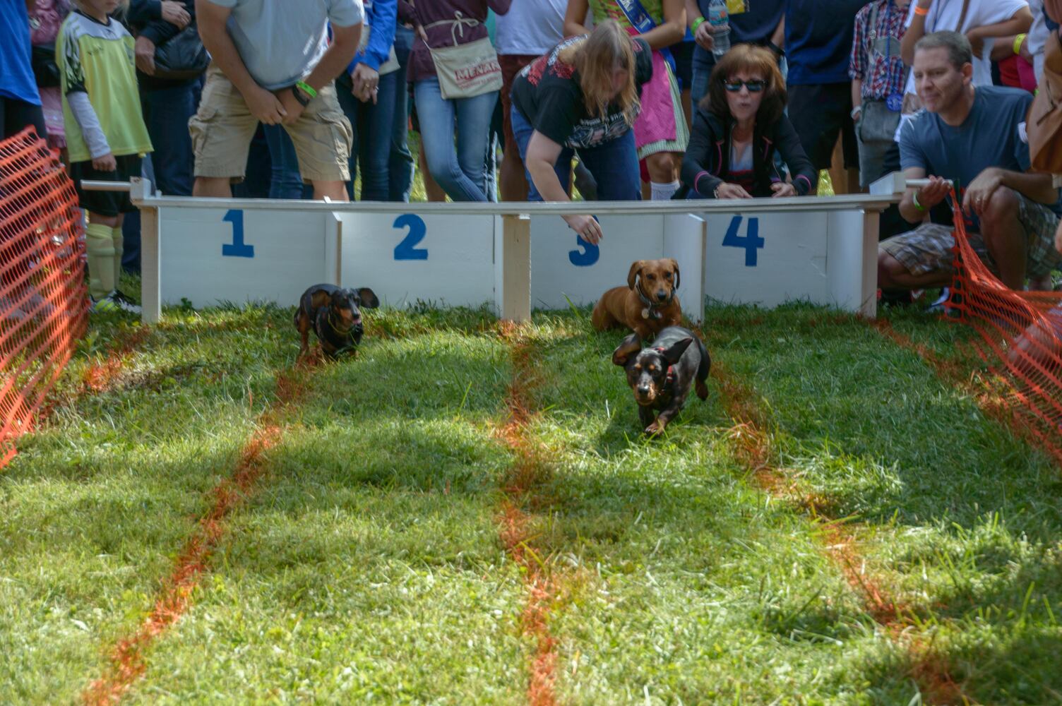 PHOTOS: 5th annual Oktoberfest Springboro