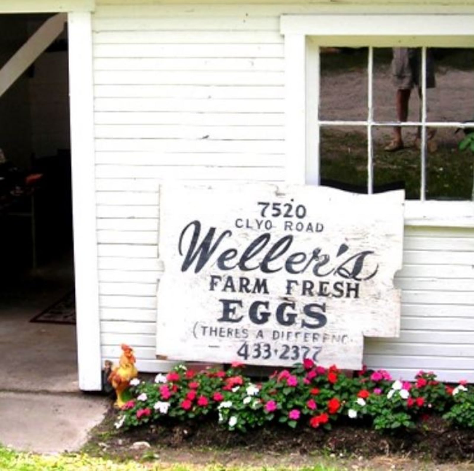 The sign outside the chicken house that used to advertise Weller's Farm Fresh Eggs. In 1998, the Wilson-Weller House was designated as a historical landmark in Centerville. Ed and Susan Ross continue the legacy of the home, now called the Wilson-Weller-Ross House, and they feel like they have a responsibility to preserve and communicate the home’s history to others. CONTRIBUTED