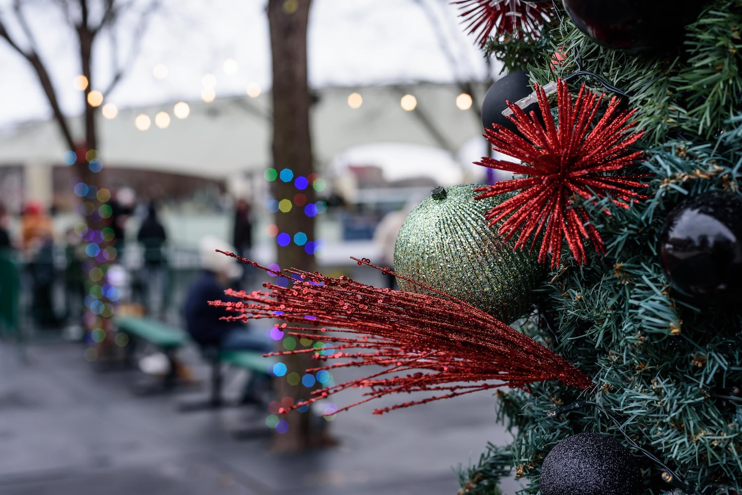 PHOTOS: Timeless Tales Family Skate Day at RiverScape MetroPark