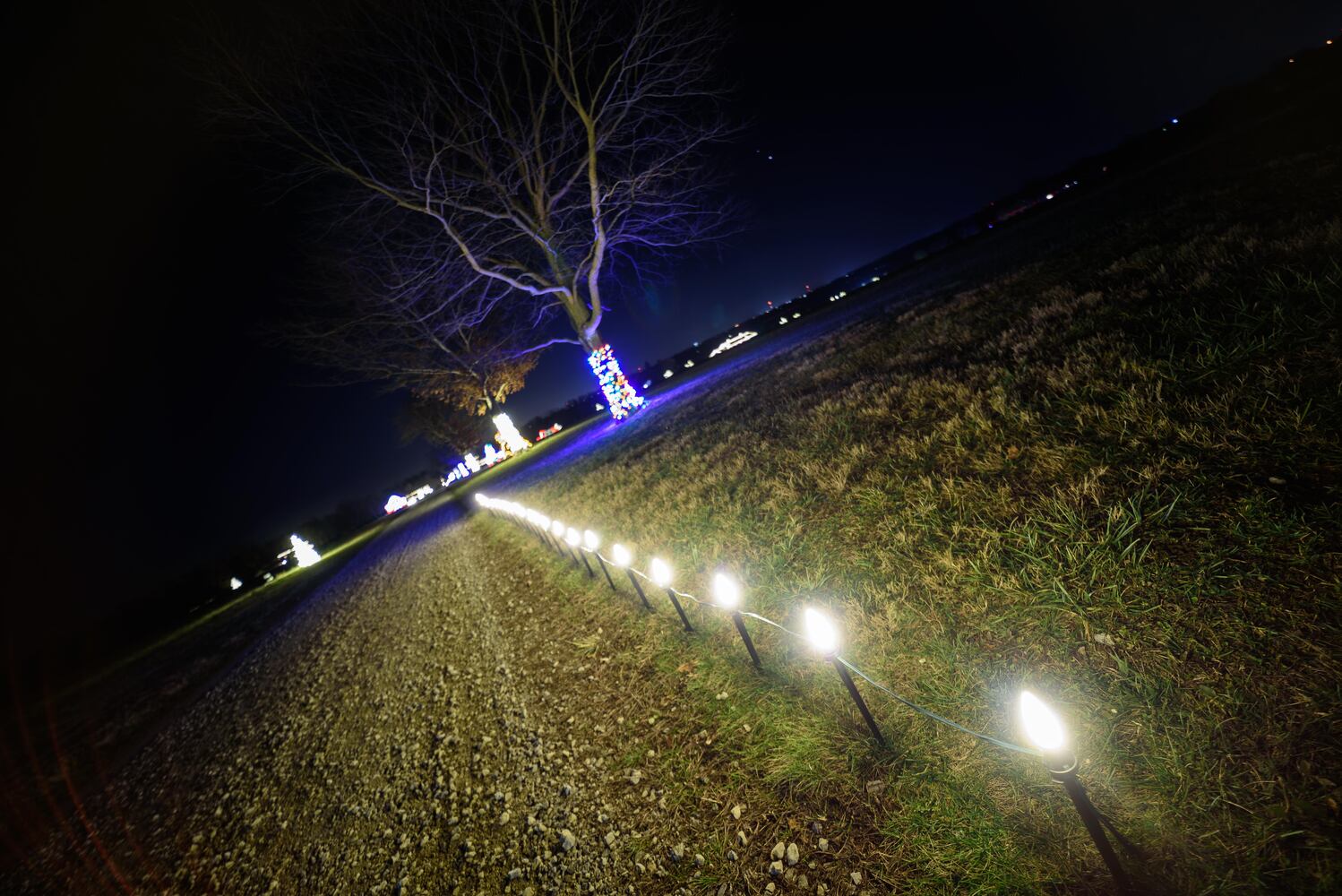 PHOTOS: Holiday Lights dazzle at Lost Creek Reserve in Troy