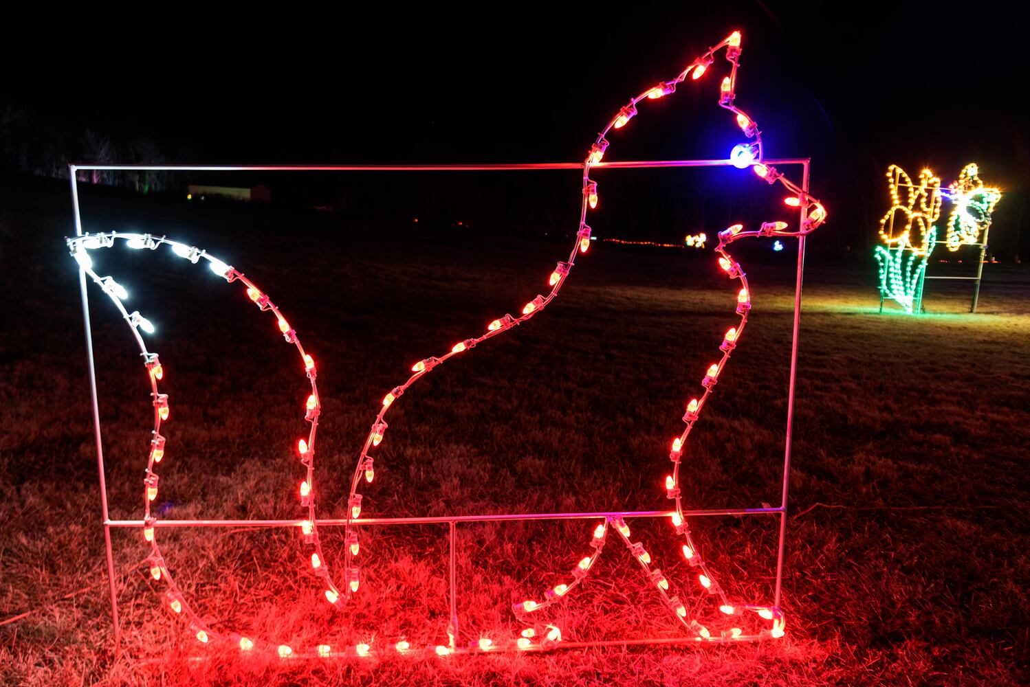 PHOTOS: ParkLights at Caesar Ford Park