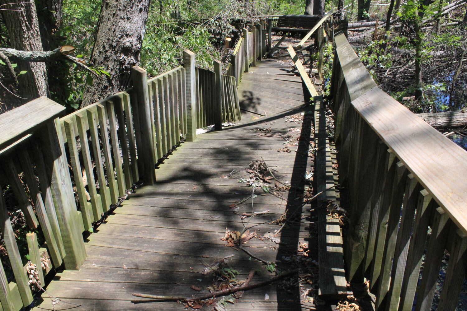Photos: ‘extraordinary’ damage to parts of  Wegerzyn MetroPark, some parts mostly untouched