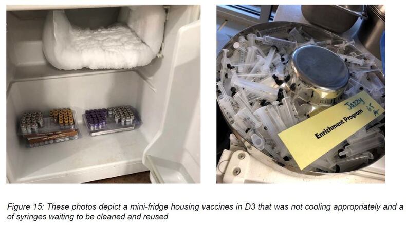 A photo taken inside Montgomery County’s Animal Resource Center during a November assessment shows a mini-fridge not cooling vaccines appropriately and a bowl of syringes waiting to be cleaned and reused, according to Team Shelter USA. SUBMITTED