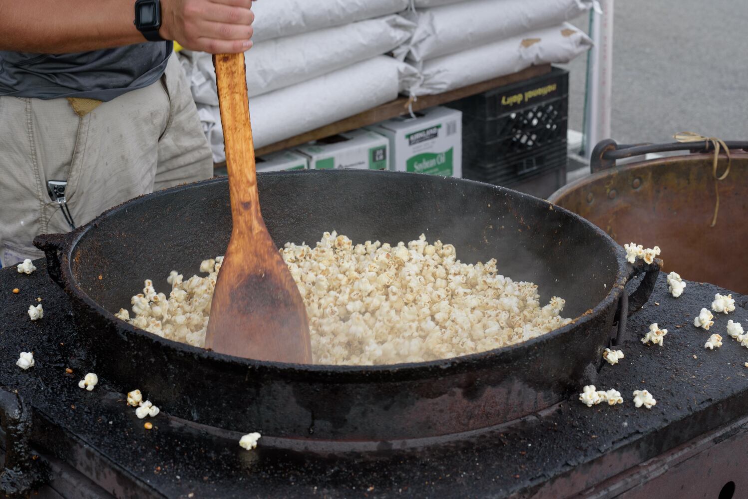 PHOTOS: Did we spot you at the Beavercreek Popcorn Festival?