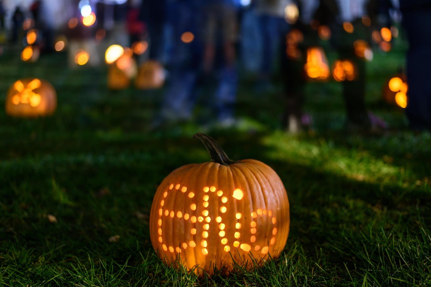 PHOTOS: 2025 Stoddard Avenue Pumpkin Glow
