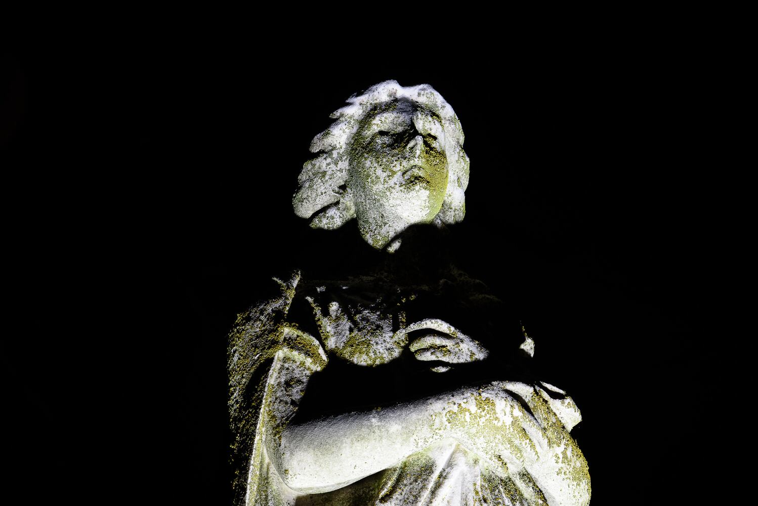 PHOTOS: Angel Night at Calvary Cemetery