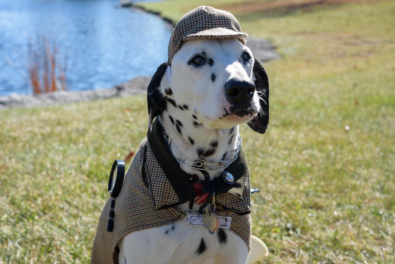 PHOTOS: Did we spot you and your dog at Wag-O-Ween at the Kettering Recreation Center?