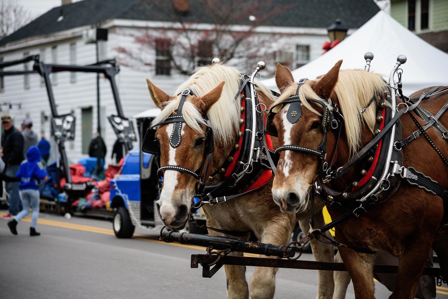 PHOTOS: Did we spot you at the Christmas in Historic Springboro Festival?